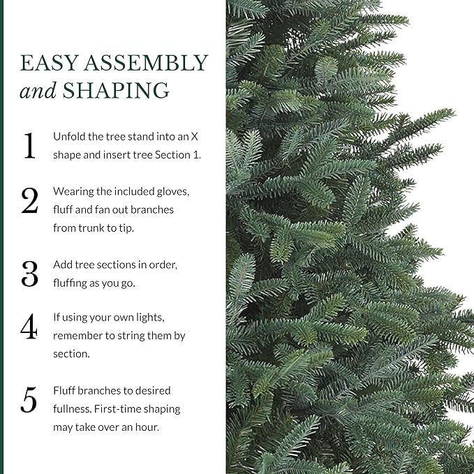 Balsam Hill European Silver Fir - Elegant Artificial Christmas Tree with True Needle Foliage Available Unlit or with LED Clear Lights, Unlit, 5'