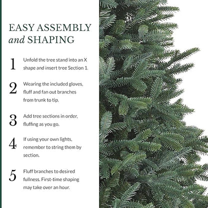 Balsam Hill European Silver Fir - Elegant Artificial Christmas Tree with True Needle Foliage Available Unlit or with LED Clear Lights, Unlit, 5'
