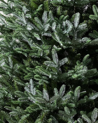 Balsam Hill European Silver Fir - Elegant Artificial Christmas Tree with True Needle Foliage Available Unlit or with LED Clear Lights, Unlit, 8'