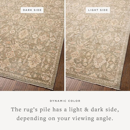 Loloi Chris Loves Julia Palma Collection PLM-03 Lagoon/Natural 3'-6" x 5'-6" Accent Rug Vintage Style Boho Living Room Bedroom Carpet