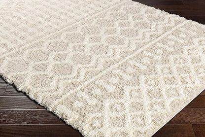 Livabliss Hapsburg Moroccan Shag Runner Area Rug, 2'7" x 7'3", Beige