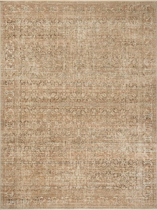 Loloi Amber Lewis Molly Collection MOL-08 Antique/Multi 2'-3" x 3'-10" Low Pile Accent Rug