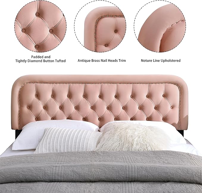 BeyetseaTufted Upholstered Pink Full Headboard only-Button Solid Wood HeadBoards with Adjustable Height-Modern Velvet Padded Bed Head Boards-Easy Install&Nailhead
