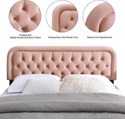 BeyetseaTufted Upholstered Pink Full Headboard only-Button Solid Wood HeadBoards with Adjustable Height-Modern Velvet Padded Bed Head Boards-Easy Install&Nailhead