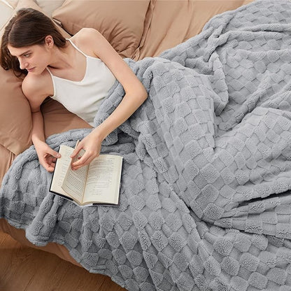 Bedsure GentleSoft Blankets Queen Size for Bed - Super Soft Cozy Blanket for Women Men Girls, Large Fuzzy Fleece Throw for Bedroom Decor, Silver Grey, 90x90 Inches