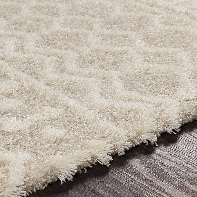 Livabliss Hapsburg Moroccan Shag Area Rug, 2'7" x 5', Beige
