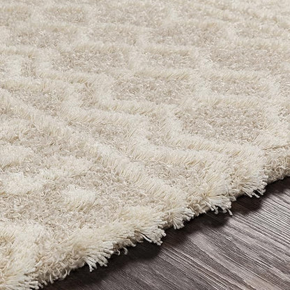 Livabliss Hapsburg Moroccan Shag Area Rug, 2'7" x 5', Beige