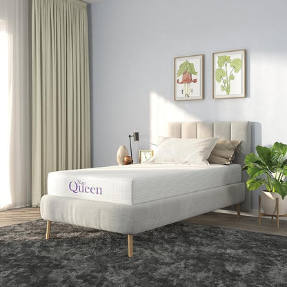 NapQueen Twin Mattress, 14 Inch Charcoal Memory Foam Mattress, Twin Bed Mattress in a Box, CertiPUR-US Certified, Medium Firm, Breathable Soft Fabric Cover