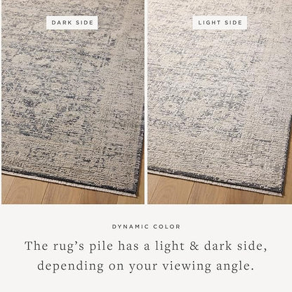 Loloi Amber Lewis Alie Collection ALE-05 Charcoal/Beige 2'-7'' x 10'-0'', .13'' Pile Height, Runner Rug