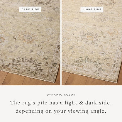 Loloi Magnolia Home by Joanna Gaines Pace Collection PAC-05 Apricot/Multi 9'-6" x 9'-6" Round Area Rug