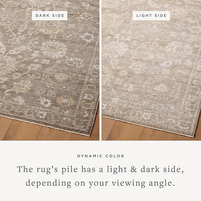 Loloi Magnolia Home by Joanna Gaines Pace Collection PAC-03 Taupe/Wheat 5'-3" x 7'-6" Area Rug