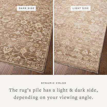 Loloi Chris Loves Julia Palma Collection PLM-09 Brown/Earth 2'-3" x 3'-10" Fringe Accent Rug Vintage Style Boho Living Room Bedroom Carpet