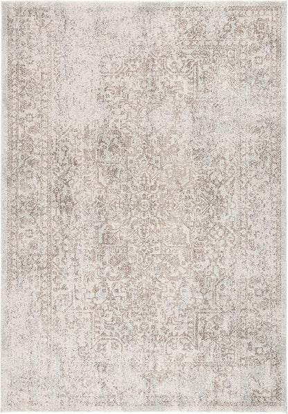 SAFAVIEH Area Rug 9x12 - Evoke Collection - Large - Ivory & Taupe, Distressed Design, Non-Shedding & Easy to Clean, Ideal for Living Room, Bedroom, Dining Space (EVK256E)