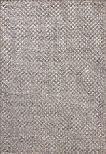 Loloi Amber Lewis Topanga Collection TOP-02 Natural/Silver 9'-2" x 12'-0" Indoor/Outdoor Area Rug