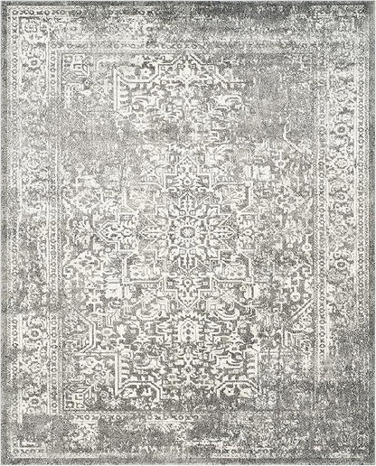 SAFAVIEH Area Rug 9x12 - Evoke Collection - Large - Grey & Ivory, Distressed Design, Non-Shedding & Easy to Clean, Ideal for Living Room, Bedroom, Dining Space (EVK256D)